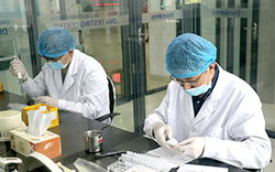 江苏隐私亲子鉴定在哪个地方做，江苏隐私亲子鉴定样本有什么