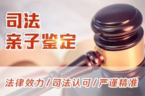 江苏司法DNA亲子鉴定去哪里办理,江苏司法亲子鉴定的流程