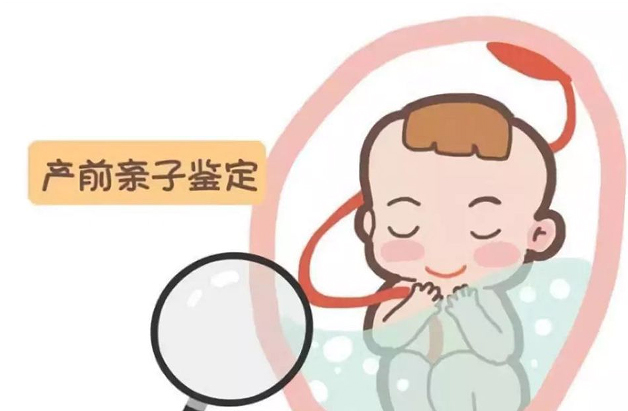 江苏怀孕亲子鉴定的流程,